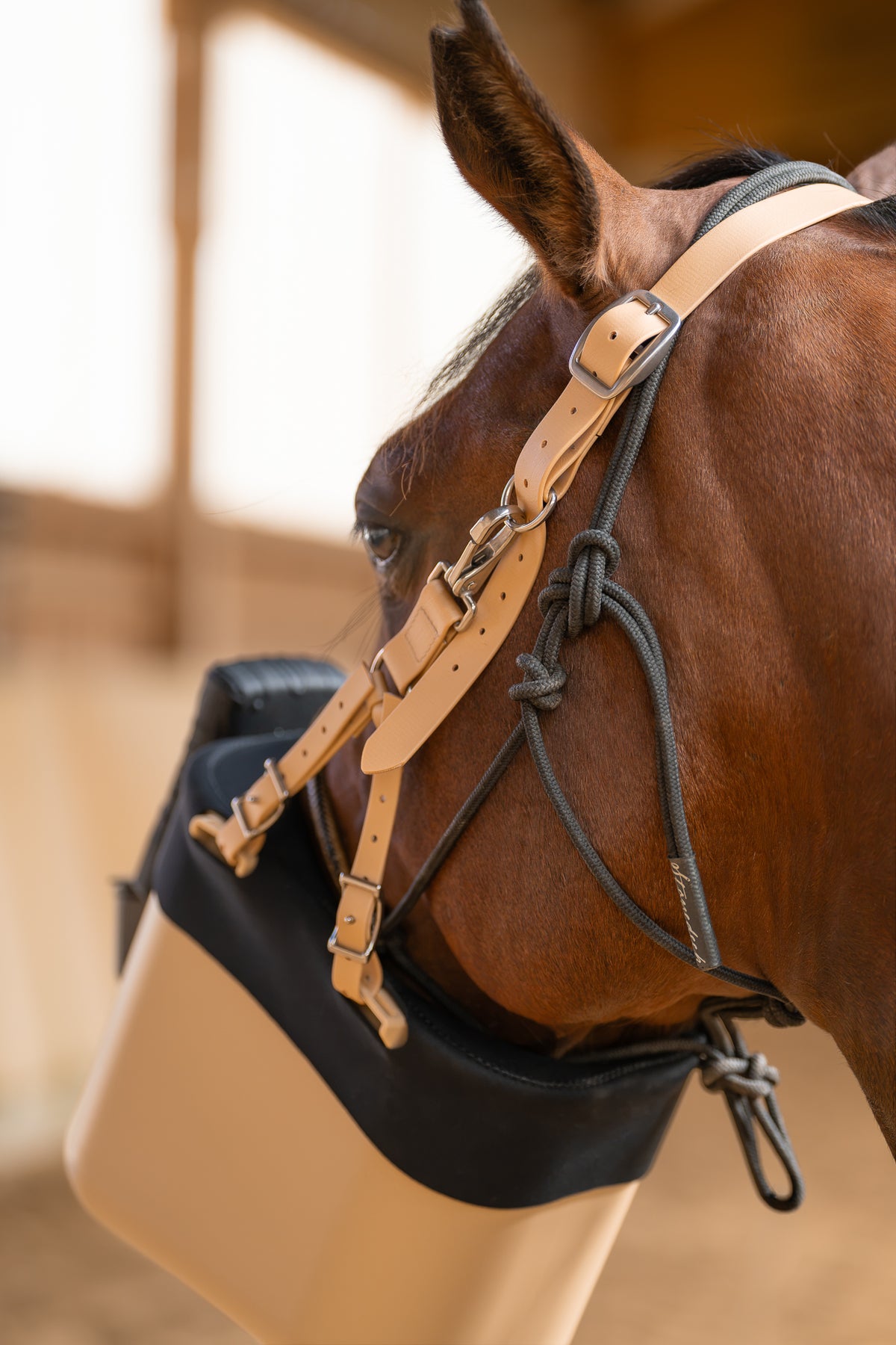 Pferd mit BIBO Pulmifier® und PE PureFit Maske