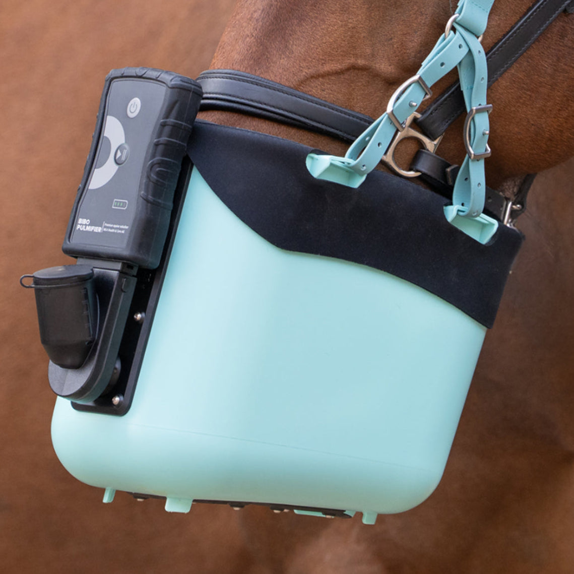 Pferd mit BIBO Pulmifier® und PE PureFit Maske