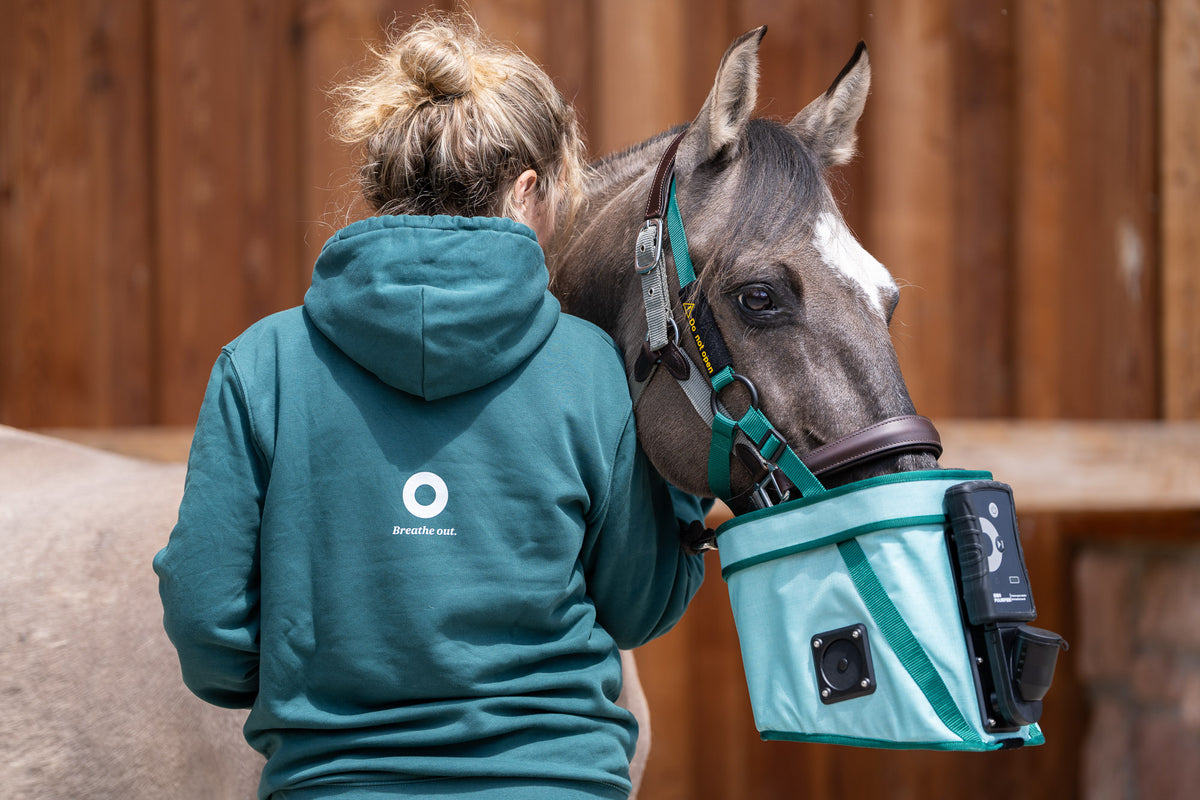Pferd mit BIBO Pulmifier® und Reiterin