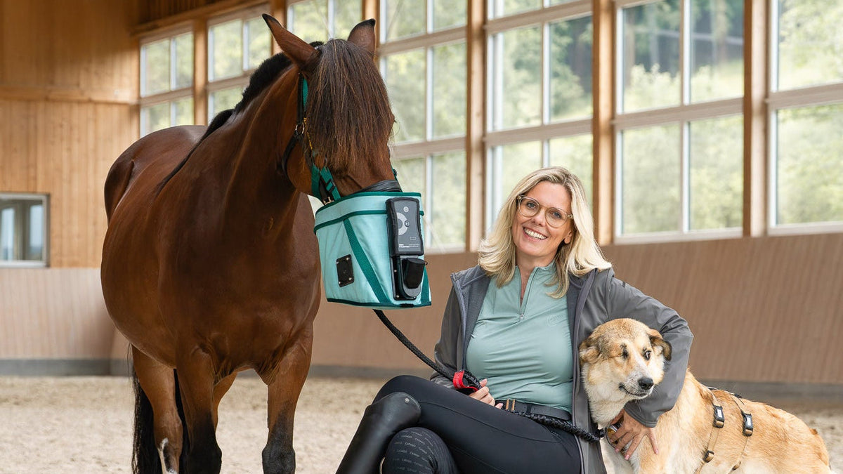 Pferd mit BIBO Pulmifier® und Reiterin