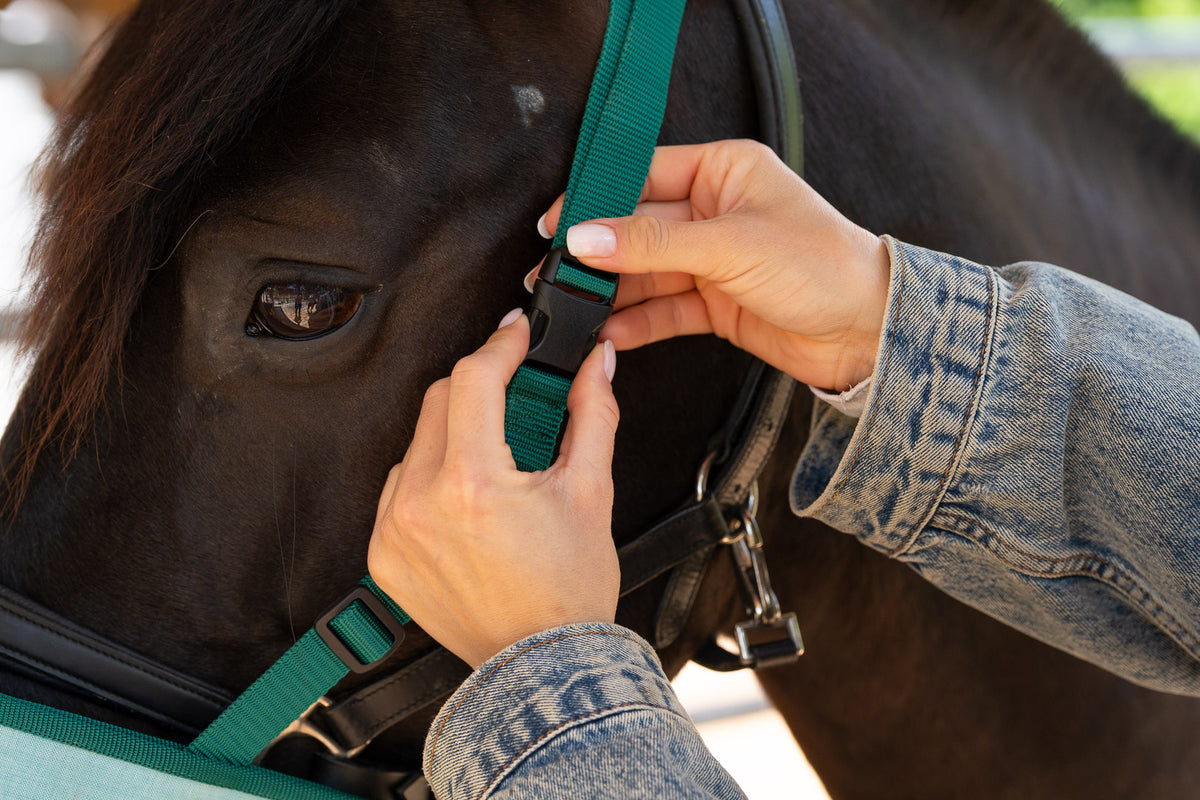 BIBO Pulmifier® Umsattel Edition mit Cordura® SoftFit Maske