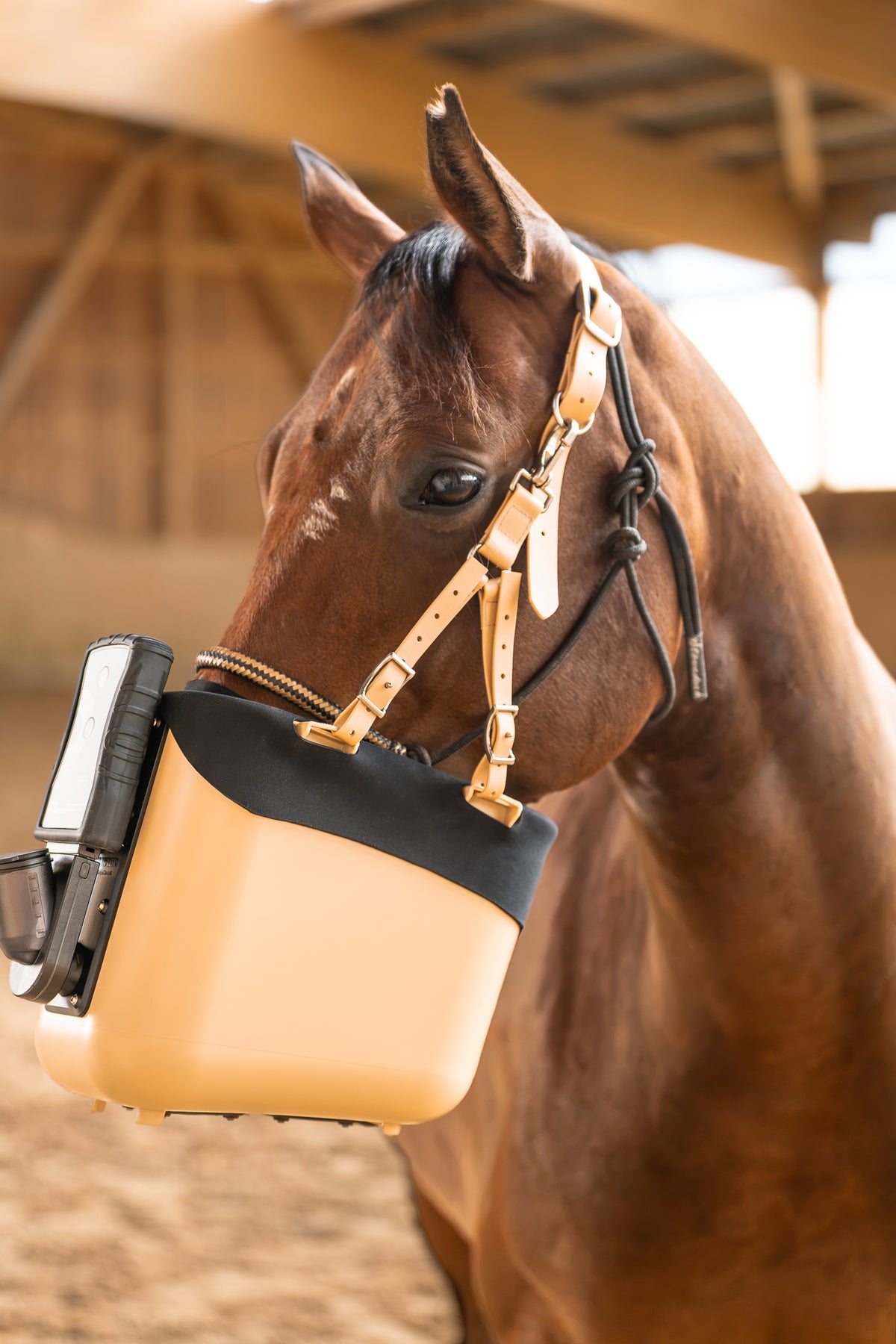 Pferd mit BIBO Pulmifier® und PE PureFit Maske