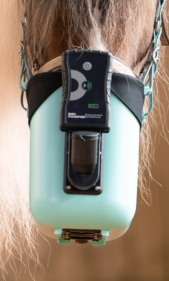 Pferd mit BIBO Pulmifier® und PE PureFit Maske
