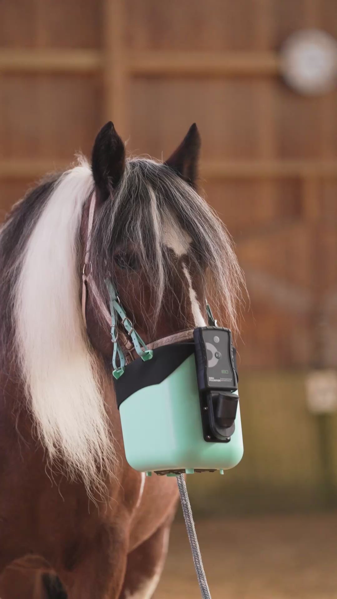 Video laden: 